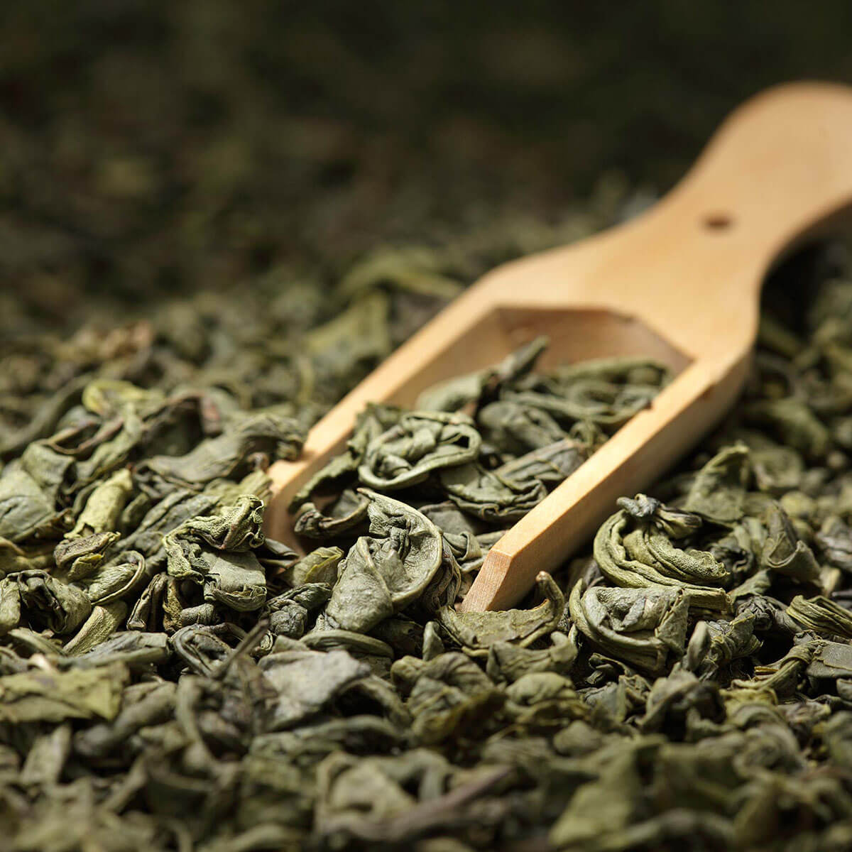 Estrazione tè foglie